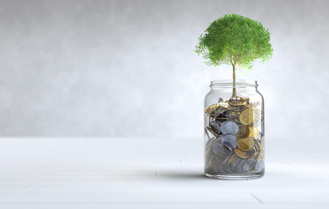 Fee Structure & Financial Aid